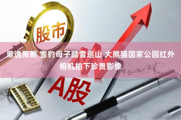 景逸策略 雪豹母子踏雪巡山 大熊猫国家公园红外相机拍下珍贵影像